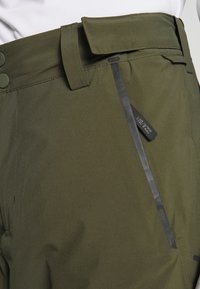 Billabong COMPASS - Calças de snowboard - dark forest