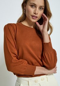 Pull à couleur rouille avec des poignets côtelés et un col rond ; présente des manches légèrement bouffantes et une texture lisse.