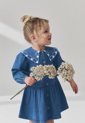 Joven chica con el pelo rubio recogido en un moño, vestida con un vestido azul con un cuello blanco bordado, sosteniendo dos ramas de flores secas.