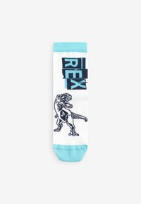 Next 5 PACK - REGULAR FIT - Strømper - blue green fluro dinosaurs