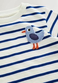 Nevybrané, white blue stripe seagull