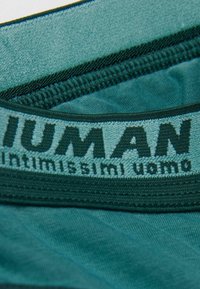 IUMAN Intimissimi Uomo Trosor - green