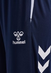 Pantalones deportivos azules de tela suave, con un logo blanco y un patrón de flechas a lo largo del costado, con un diseño elegante y ajustado.