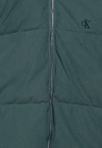 Calvin Klein Jeans HOODED PUFFER - Ziemas jaka - north atlantic