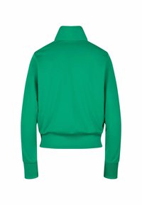 Sudadera verde, corta, con cuello alto, mangas largas y puños acanalados. Textura suave sin patrones ni adornos.