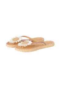 Flip-flop beige intrecciati con cinturini color tabacco, ciascuno decorato con un grande fiore di margherita bianca sulla parte superiore.