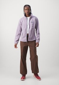 Columbia BENTON SPRINGS™ FULL ZIP - Veste polaire - shale purple