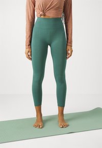 Yogasearcher ASA SEAMLESS LEGGING - Tights - paon