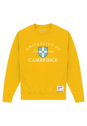 Henry Tiger PARK FIELDS UNIVERSITY OF CAMBRIDGE EST 1209 - Felpa - gold