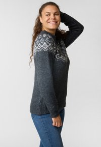 Swedemount LOFOTEN - Jumper - charcoal melange
