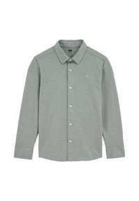 Nem kiválasztott, greyish green