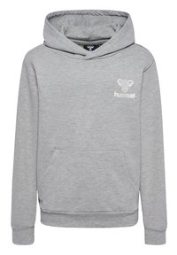 Grijze hoodie gemaakt van zachte stof, voorzien van een kangoeroezak, geribde mouwen en een klein geborduurd logo op de borst.