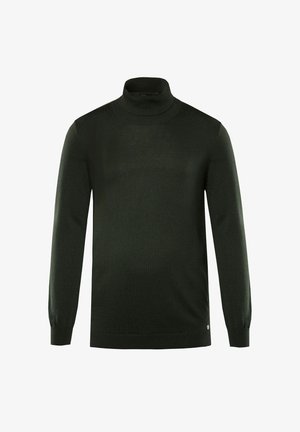 Pull en col roulé vert en tissu tricoté, avec des manches longues et une coupe ajustée, doté de poignets et d'ourlet côtelés. Aucun motif ou matériau visible.