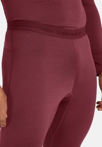 icebreaker 260 TECH - Unterhose lang - port