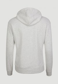 Felpa con cappuccio grigio chiaro vista dal retro, con maniche lunghe e polsini e orlo a coste.