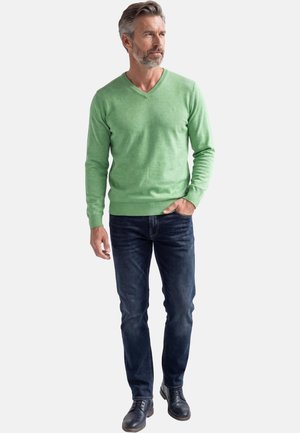 Mann mit grauem Haar und Bart, der einen grünen V-Ausschnitt-Pullover, dunkle Jeans und schwarze Schuhe trägt, steht mit einer Hand in der Tasche.