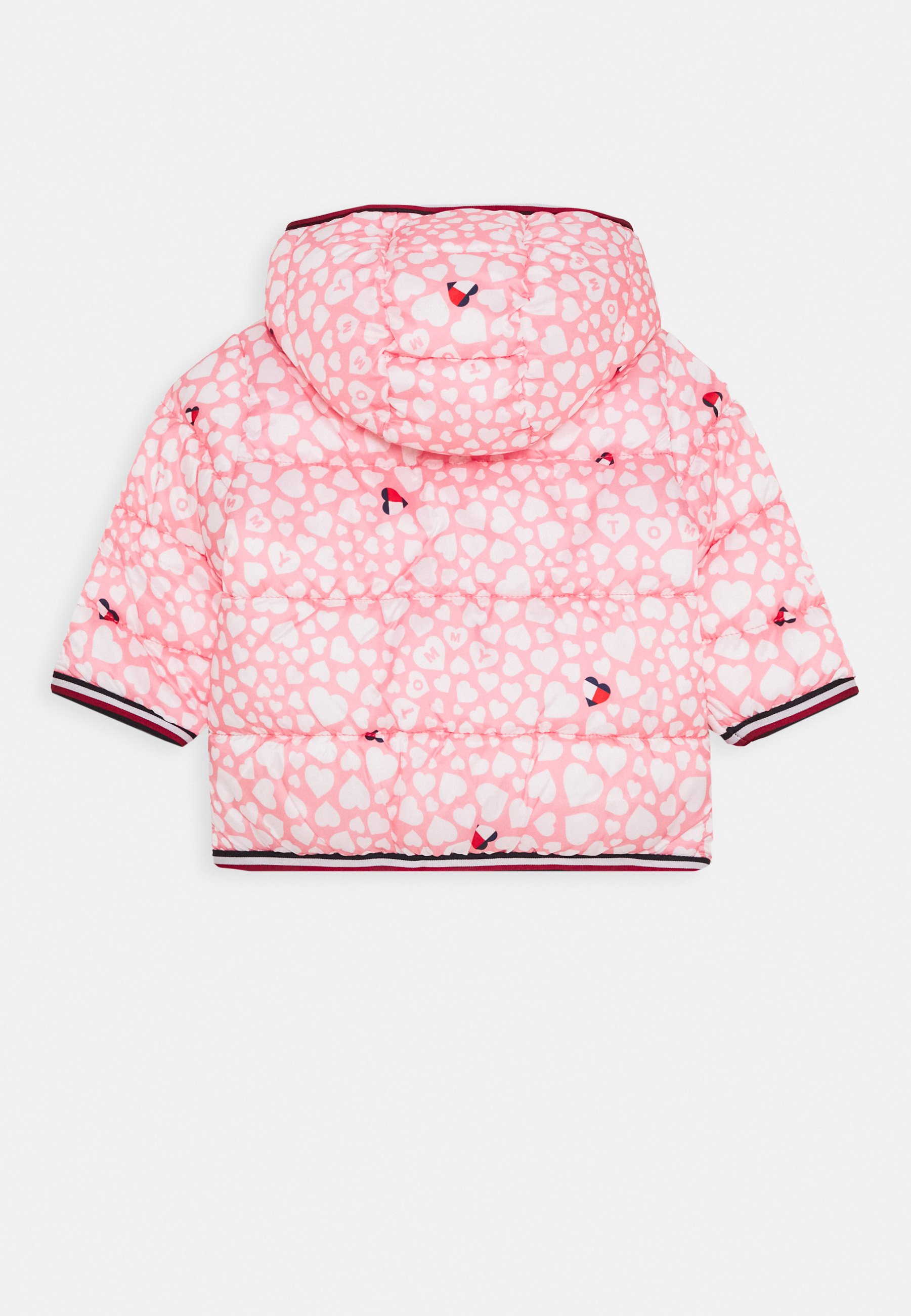 tommy baby jacket