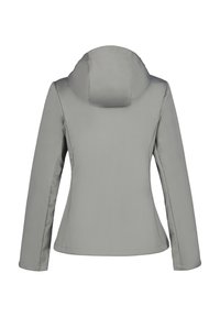 Veste pour femmes gris clair avec capuche, manches longues et design ajusté. Fabriquée en tissu doux et lisse sans matériel visible.