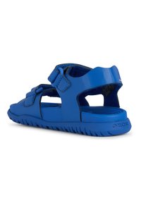 Geox FUSBETTO UNISEX - Sandals - royal