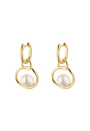 BAROQUE FLAIR - Ohrringe - silverfarbenund goldfarben