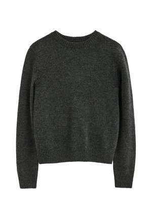 Polo Club, PULLOVER WOMAN ANINE LONG SLEEVE REGULAR FIT - Jersey de punto - dark gray vigore
