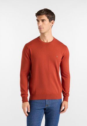 Uomo che indossa un maglione color ruggine con scollo a girocollo e jeans blu, che guarda leggermente di lato su uno sfondo bianco semplice.