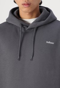 Hollister Co. Relaxed Logo Hoodie - Sportinis megztinis - irongate