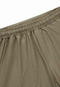BOSS HECON ACTIVE - Short de sport - light green four
