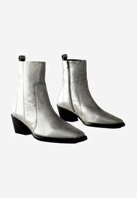 Botines plateados hechos de un material metálico brillante, con punta afilada y cremallera lateral, con un tacón bajo y una lengüeta.