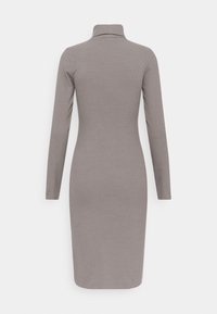 Robe en maille côtelée, manches longues, longueur genou, gris clair avec un col roulé haut, vue de dos sur fond blanc.