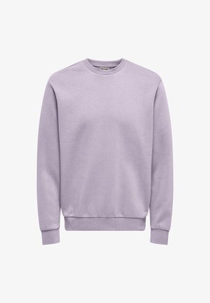 Fioletowy sweter z miękkiego materiału. Posiada okrągły dekolt, ściągacze przy rękawach i luźny krój bez nadruków graficznych.