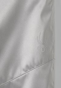 Spyder Pantalón de nieve - silver-coloured