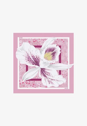 Fiore di orchidea bianco e viola con centro giallo su sfondo a quadrati sovrapposti rosa e malva.