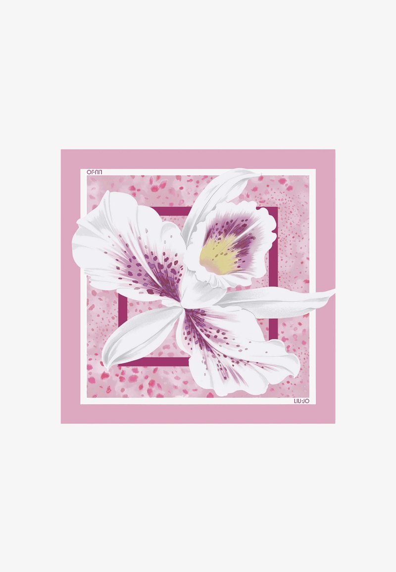 Fleur d'orchidée blanche et violette avec un centre jaune sur un fond à motif carré superposé rose et mauve.