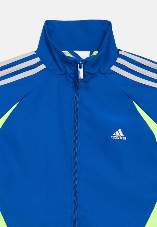 adidas TEAMGEIST LOOSE JUNIOR - Training jacket - collegiate royal/lucid lemon/grey two — photo 4