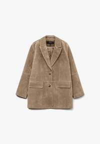 Ei valittu, silver mink