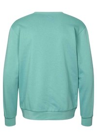 Mint green long-sleeve sweatshirt with ribbed cuffs, hem, and crew neckline, shown from the back on a white background.