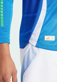 Blauwe sporttrui met lange mouwen, voorzien van groene strepen en witte mesh accenten. Inclusief een gouden logo tag aan de rand.