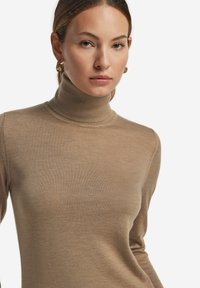 Brauner Rollkragenpullover aus einem weichen, feinen Strickstoff mit einer figurbetonten Silhouette und subtiler Textur. Keine sichtbaren Muster oder Akzente.