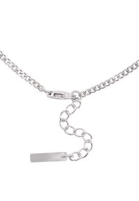 Collana in argento con una serie di anelli intrecciati, dotata di un gancio e di un'etichetta rettangolare piatta appesa alla catena.