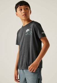 Dunkelgraues T-Shirt mit kurzen Ärmeln, das auf der Vorderseite eine weiße Grafik von Bergen und Sonne sowie ein Logo auf dem Ärmel präsentiert. Glatte Textur, leichtes Material.