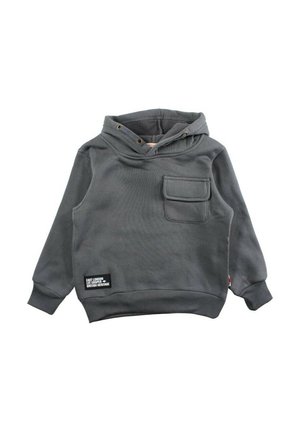 Sweat à capuche - gris