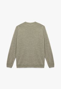 Ljust grönt stickat tröja, långa ärmar, rund halsringning, mjuk textur, inga synliga mönster, sömlig baksida.
