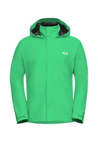 Unausgewählt, lizard