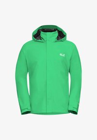 Unausgewählt, lizard