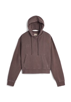 CAMPERLAB Hoodie - dunkelbraun