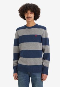 Navy en grijs gestreepte trui, ronde hals, gemaakt van een zachte stof, met geribbelde manchetten en zoom, en een klein rood logo op de borst.