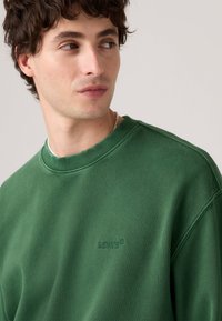Groene sweatshirt met een ronde halslijn, gemaakt van zachte stof. Heeft gestikte details en een subtiele Levi's-logo op de borst.