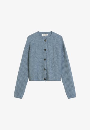 Lichtblauwe gebreide cardigan met een gestructureerd kabelpatroon, ronde halslijn en vijf zwarte knopen aan de voorkant. Korte lengte.