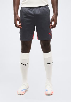 TRAINING SHORTS - Sport rövidnadrágok - gray echo/dusky gray/red